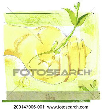 Stock Photography - seedling in cupped 
hand. fotosearch 
- search stock 
photos, pictures, 
images, and photo 
clipart