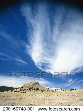 Stock Photography - usa, new mexico, 
near old horse 
springs, sagebrush 
on desert hillside. 
fotosearch - search 
stock photos, 
pictures, images, 
and photo clipart