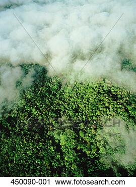 Stock Photography - aerial view over 
tropical rain 
forest with cloud 
cover. fotosearch 
- search stock 
photos, pictures, 
images, and photo 
clipart