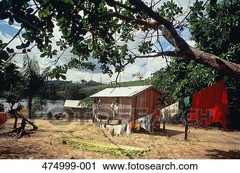 Stock Photography - brazil, remote 
amazon settlement. 
fotosearch - search 
stock photos, 
pictures, images, 
and photo clipart