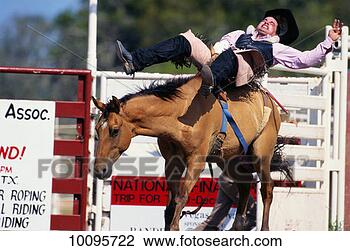 Stock Photo - bucking bronco 
at rodeo. fotosearch 
- search stock 
photos, pictures, 
images, and photo 
clipart
