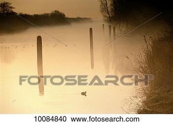 Stock Photography - early morning 
in nederhorst 
den berg, holland. 
fotosearch - search 
stock photos, 
pictures, images, 
and photo clipart
