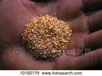 Stock Photograph - gold flakes in 
hand, alaska. 
fotosearch - search 
stock photos, 
pictures, images, 
and photo clipart