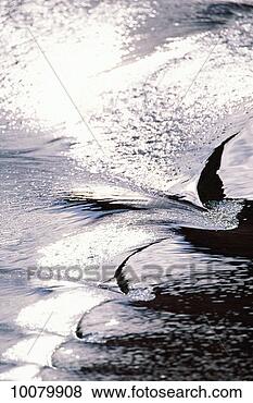 Stock Photo - lake powell, utah. 
fotosearch - search 
stock photos, 
pictures, images, 
and photo clipart
