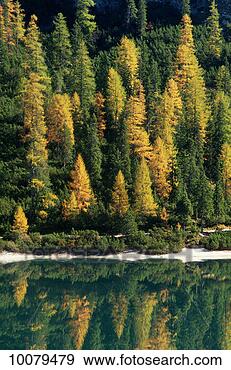 Stock Photograph - lake prags and 
dolomites in the 
alps in south 
tyrol, italy. 
fotosearch - search 
stock photos, 
pictures, images, 
and photo clipart
