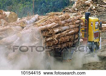 Stock Image - logging on road 
fron targa to 
tayennel. fotosearch 
- search stock 
photos, pictures, 
images, and photo 
clipart