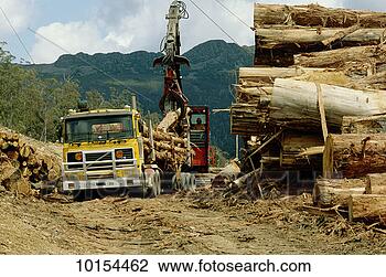 Stock Photo - logging on the 
road from targa 
to tayennel. fotosearch 
- search stock 
photos, pictures, 
images, and photo 
clipart