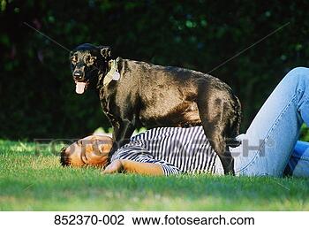 Stock Photo - man lying on grass 
with pet dog standing 
over him. fotosearch 
- search stock 
photos, pictures, 
images, and photo 
clipart