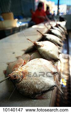 Picture - municipal market 
in manaus, amazonas, 
brazil. fotosearch 
- search stock 
photos, pictures, 
images, and photo 
clipart