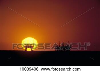 Stock Photo - oil platforms 
at sunset in carpinteria, 
california. fotosearch 
- search stock 
photos, pictures, 
images, and photo 
clipart