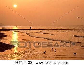 Stock Photography - parent and child 
walking on beach 
at sunset. fotosearch 
- search stock 
photos, pictures, 
images, and photo 
clipart