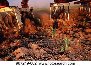 Stock Photo - ploughs turning 
soil in maize 
field. fotosearch 
- search stock 
photos, pictures, 
images, and photo 
clipart