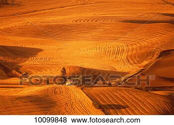 Stock Photo - poulouse region 
in washington. 
fotosearch - search 
stock photos, 
pictures, images, 
and photo clipart
