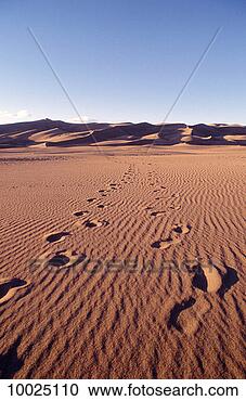 Stock Photography - sand dunes in 
colorado. fotosearch 
- search stock 
photos, pictures, 
images, and photo 
clipart