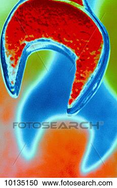 Stock Photography - spanner. fotosearch 
- search stock 
photos, pictures, 
images, and photo 
clipart