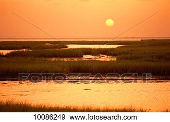 Stock Photograph - sunset over bay. 
fotosearch - search 
stock photos, 
pictures, images, 
and photo clipart