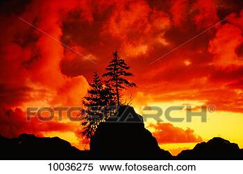 Stock Image - tree on mountain 
peak with orange 
sunset clouds. 
fotosearch - search 
stock photos, 
pictures, images, 
and photo clipart