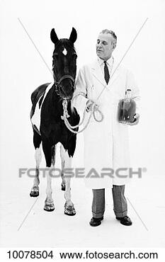 Stock Photo - veterinarian with 
horse. fotosearch 
- search stock 
photos, pictures, 
images, and photo 
clipart