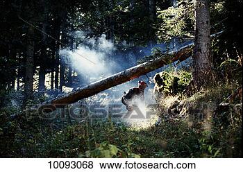 Stock Photo - woodcutter in 
france. fotosearch 
- search stock 
photos, pictures, 
images, and photo 
clipart