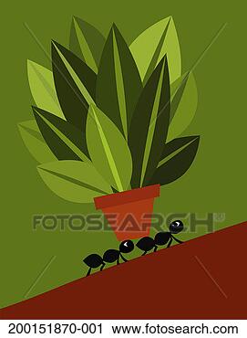 Stock Photography - ants carrying 
potted plant up 
hill. fotosearch 
- search stock 
photos, pictures, 
images, and photo 
clipart