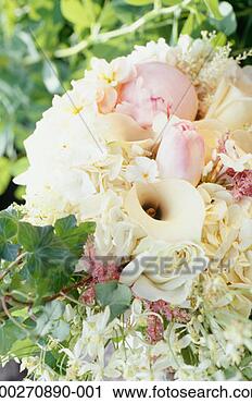 Stock Photography - wedding bouquet, 
close-up. fotosearch 
- search stock 
photos, pictures, 
images, and photo 
clipart