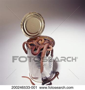 Arquivo de Fotografia - abertos,  lata, 
 vermes,  elevado, 
 vista. fotosearch 
- busca de fotos, 
imagens e clipart