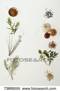 Stock Image - assorted fresh 
herbs and vegetables 
on white background. 
fotosearch - search 
stock photos, 
pictures, images, 
and photo clipart