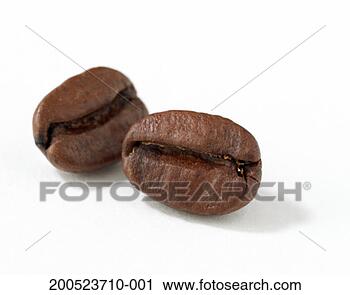 Stock Photography - coffee beans, 
white background. 
fotosearch - search 
stock photos, 
pictures, images, 
and photo clipart