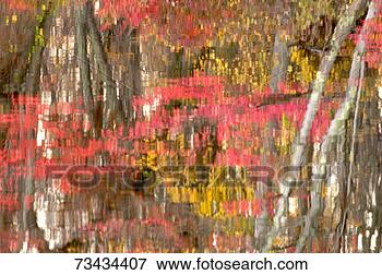 Picture - fall reflection 
on lake. fotosearch 
- search stock 
photos, pictures, 
images, and photo 
clipart