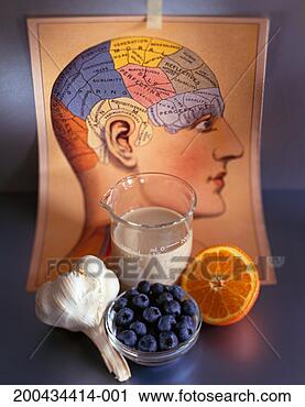 Stock Photography - food and brain. 
fotosearch - search 
stock photos, 
pictures, images, 
and photo clipart