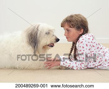 Stock Photography - girl (9-11) lying 
on floor facing 
dog, hands on 
dog's legs. fotosearch 
- search stock 
photos, pictures, 
images, and photo 
clipart