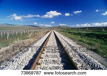 Picture - italy, sicily, 
palermo, railway 
track among vineyards. 
fotosearch - search 
stock photos, 
pictures, images, 
and photo clipart