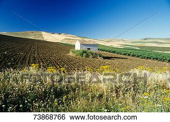 Stock Photo - italy, sicily, 
segesta, small 
country house 
among fields. 
fotosearch - search 
stock photos, 
pictures, images, 
and photo clipart