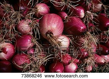 Stock Photo - pile of red onions, 
close-up. fotosearch 
- search stock 
photos, pictures, 
images, and photo 
clipart
