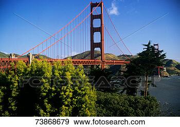 Stock Photograph - usa, san francisco, 
california, golden 
gate bridge. fotosearch 
- search stock 
photos, pictures, 
images, and photo 
clipart