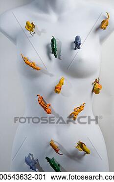 Stock Photography - brightly colored 
toy animals on 
white plastic 
female mannequin 
torso. fotosearch 
- search stock 
photos, pictures, 
images, and photo 
clipart