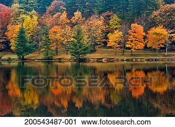 Stock Photography - usa, north carolina, 
bass lake and 
autumnal foliage. 
fotosearch - search 
stock photos, 
pictures, images, 
and photo clipart