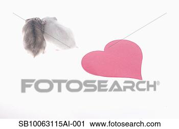 Stock Photography - two mice and heart 
shaped object 
against white 
background. fotosearch 
- search stock 
photos, pictures, 
images, and photo 
clipart