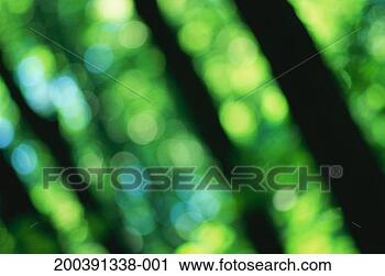 Stock Photography - foliage (defocussed). 
fotosearch - search 
stock photos, 
pictures, images, 
and photo clipart