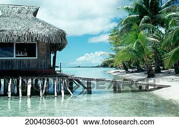 Stock Photography - french polynesia, 
bora bora, hut 
built on stilts 
over water. fotosearch 
- search stock 
photos, pictures, 
images, and photo 
clipart