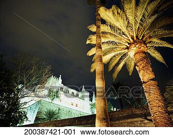 Stock Photography - spain, majorca, 
palma, palau de 
almudaina and 
palm trees, low 
angle. fotosearch 
- search stock 
photos, pictures, 
images, and photo 
clipart