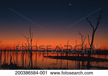 Stock Photography - zimbabwe, matusadona, 
petrified tree 
trunks in lake 
kariba, dusk. 
fotosearch - search 
stock photos, 
pictures, images, 
and photo clipart