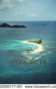 Stock Photography - grenada, small 
island with palm 
trees and beach, 
aerial view. fotosearch 
- search stock 
photos, pictures, 
images, and photo 
clipart