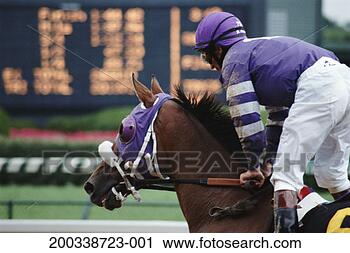 Stock Photography - jockey riding 
thoroughbred race 
horse, side view. 
fotosearch - search 
stock photos, 
pictures, images, 
and photo clipart