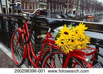 Stock Photography - netherlands, amsterdam, 
flowers on bicycle 
parked on bridge. 
fotosearch - search 
stock photos, 
pictures, images, 
and photo clipart