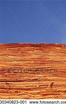 Stock Photography - stacked wood used 
for plywood manufacturing. 
fotosearch - search 
stock photos, 
pictures, images, 
and photo clipart