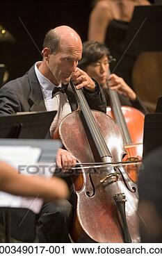 Stock Photography - cellists in orchestra 
during performance. 
fotosearch - search 
stock photos, 
pictures, images, 
and photo clipart