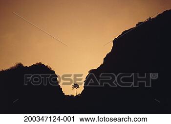 Stock Photography - french polynesia, 
bora bora, silhouetted 
palm tree and 
cliffs, sunset. 
fotosearch - search 
stock photos, 
pictures, images, 
and photo clipart