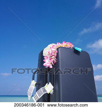 Stock Photography - lei draped on 
suitcases on beach, 
low angle view. 
fotosearch - search 
stock photos, 
pictures, images, 
and photo clipart