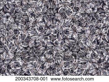 Stock Photography - sunflower seeds 
abstract, close-up, 
full frame (digital 
composite). fotosearch 
- search stock 
photos, pictures, 
images, and photo 
clipart